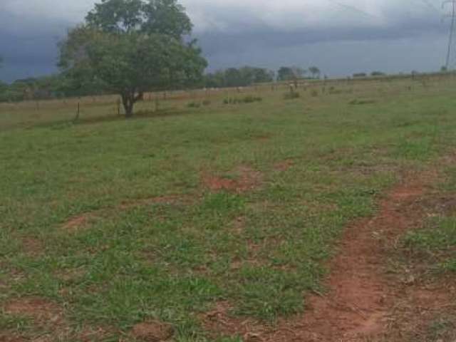 Sitio para venda na região de Barretos-SP com 5 alqueires, atual na pecuária, aproveita 80%, córrego, terra vermelha