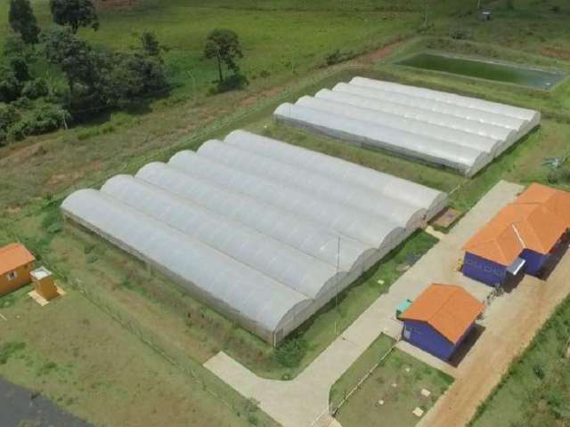 Agroindustria com frigorifico para venda na região de Ribeirão Preto-SP, area total 13 hectares e infraestrutura completa e de primeira para aquicultu