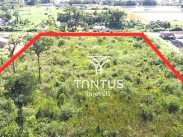 Terreno à venda, 10080 m² por R$ 800.000,00 - Brejatuba - Guaratuba/PR