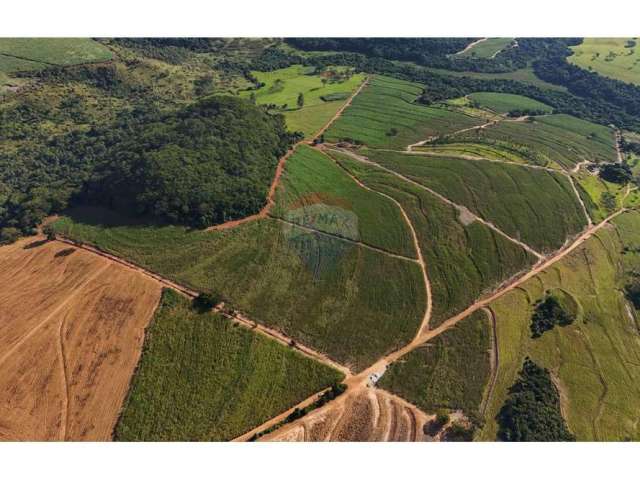 'Propriedade Rural em Cajuru-SP: Fazenda de 67,78 Alqueires com Cana-de-Açúcar, Pastagens e Acesso Fácil'