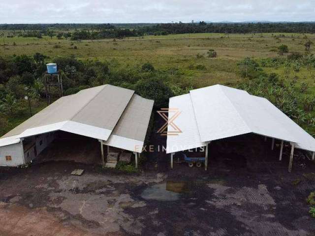 Fazenda à venda, 23420000 m² por R$ 9.000.000,00 - Jesus de Nazaré - Amapá/AP