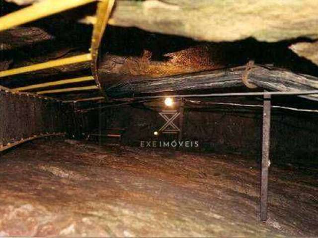 Mineradora  à venda por R$ 600.000.000 - Centro - São João Del Rei/MG