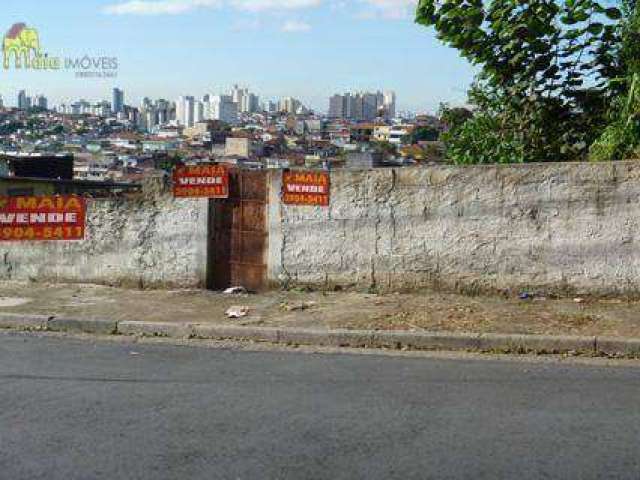 Terreno residencial à venda, Vila Palmeiras, São Paulo.