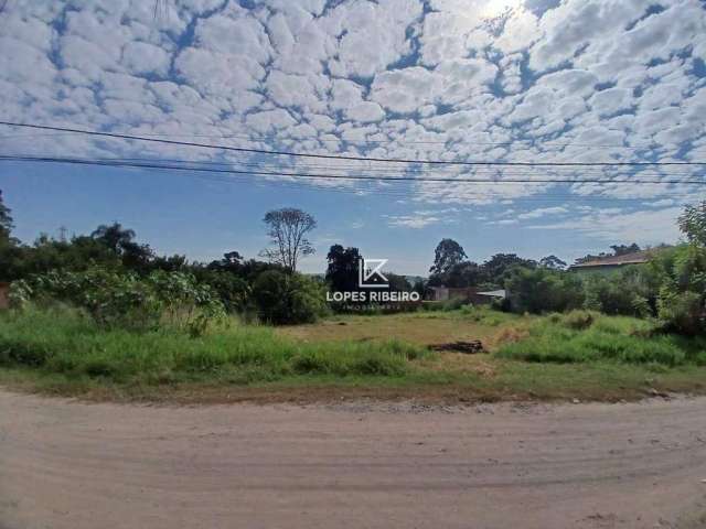 Terreno à venda, 2500 m² por R$ 500.000 - Chácara Recreio Cruzeiro do Sul - Santa Bárbara D'Oeste/SP