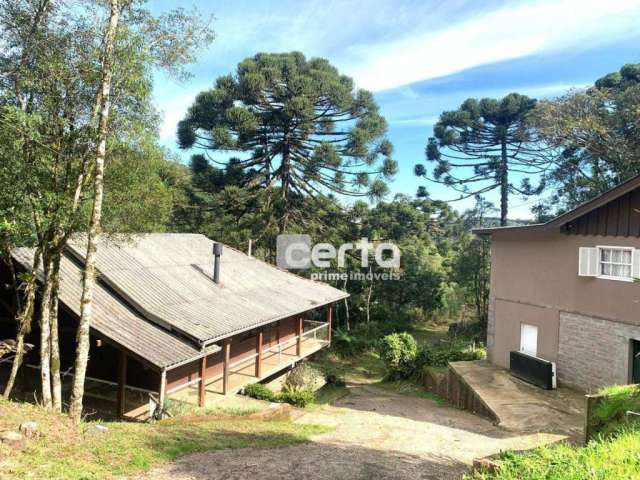 Terreno à venda, 10000 m²- Santa Terezinha - Canela/RS