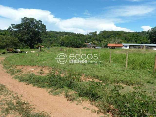 Fazenda à venda, 3 quartos, Zona Rural - Uberlândia/MG
