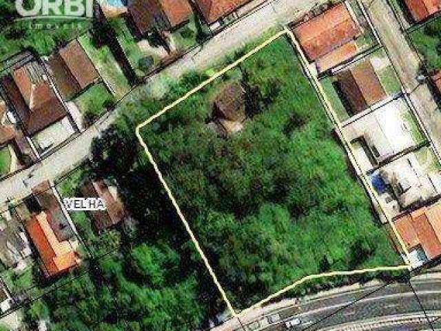 Terreno à venda, 4266 m² por R$ 3.995.000,00 - Velha - Blumenau/SC
