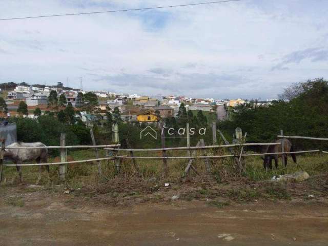 Terreno à venda, 4000 m² por R$ 1.060.000,00 - Bairro Do Grama - Caçapava/SP