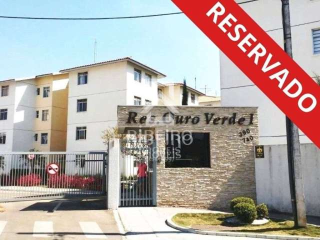 Apartamento com 3 quartos para alugar na Rua José Luciano, 390, Pedro Moro, São José dos Pinhais por R$ 1.200