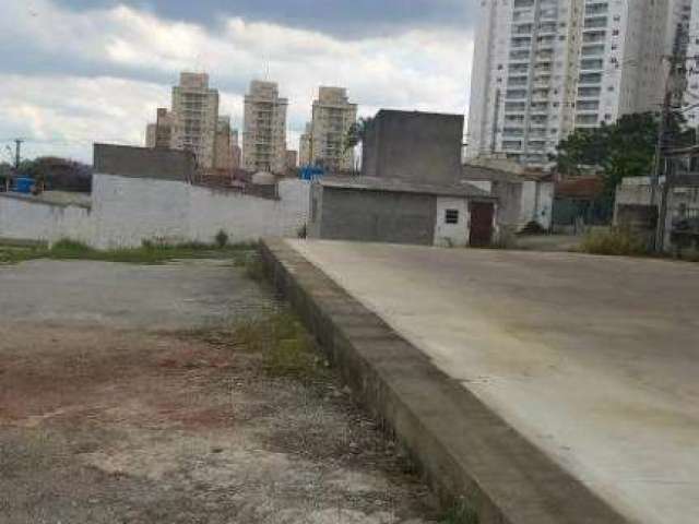 Terreno para aluguel 12 vagas Lusitânia - São Bernardo do Campo - SP