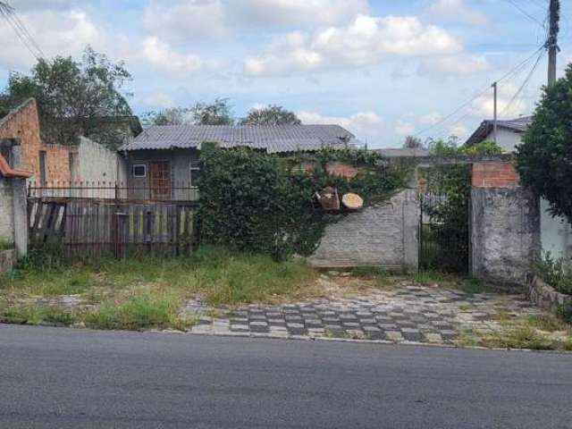 Terreno 500 m²(10x50), via coletora, prox alberico, plano por R$ 600.000 - Bairro Alto - Curitiba/PR