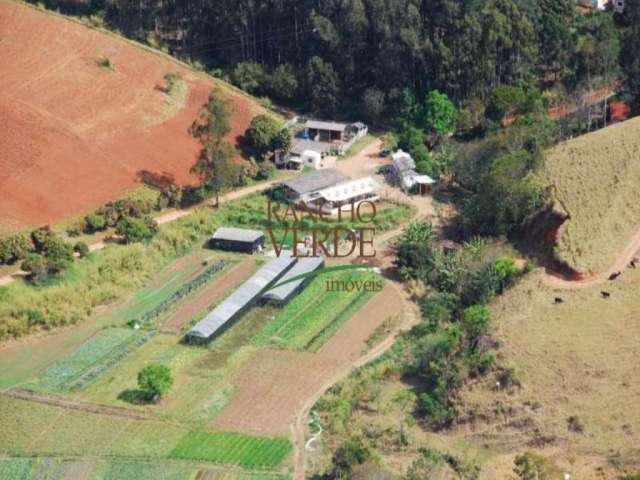 Fazenda com 3 salas à venda no Centro, Paraisópolis  por R$ 13.500.000
