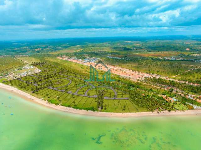 Terreno a Beira-mar a Venda  'Pé na Areia' 800m² na Rota Ecológica dos Milagres - Praia do Patacho - Alagoas