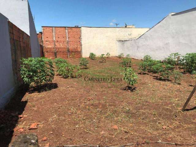 Terreno à venda, 150 m² por R$ 45.000 - Jardim João Paulo - Mineiros do Tietê/SP