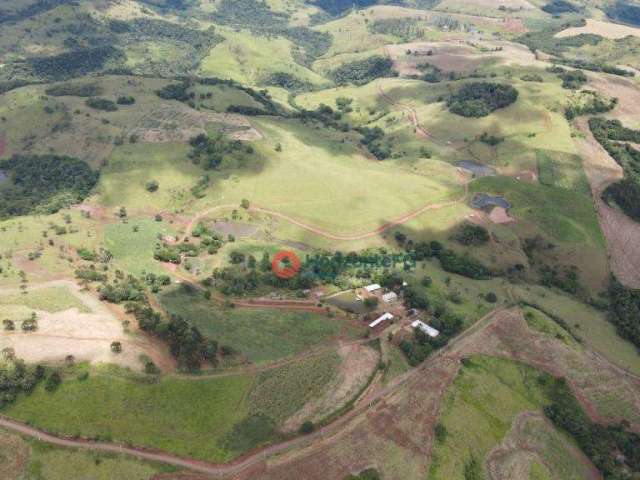 Fazenda com 51 alqueires por R$ 9.180.000,00 - Centro - Laranjeiras do Sul/PR