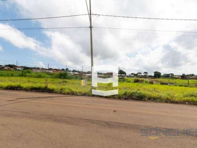 Terreno à venda, 300 m² por R$ 65.000,00 - Jardim Figueira - Apucarana/PR