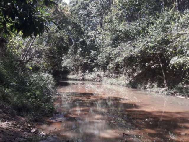 Terra na Zona Rural de Padre Bernardo de 20 hectares, com água, escritura e registro. Aceito carro