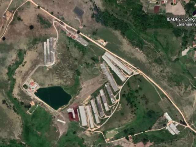 Fazenda 265 hectares Localizada em Vitória de Santo Antão