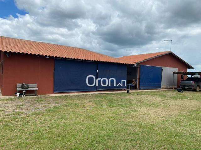 Chácara à venda, 5000 m² por R$ 435.000,00 - Zona Rural - Bonfinópolis/GO
