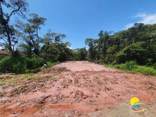 Terreno à venda, 384 m² por R$130.000,00 - Uirapuru - Itapoá/SC