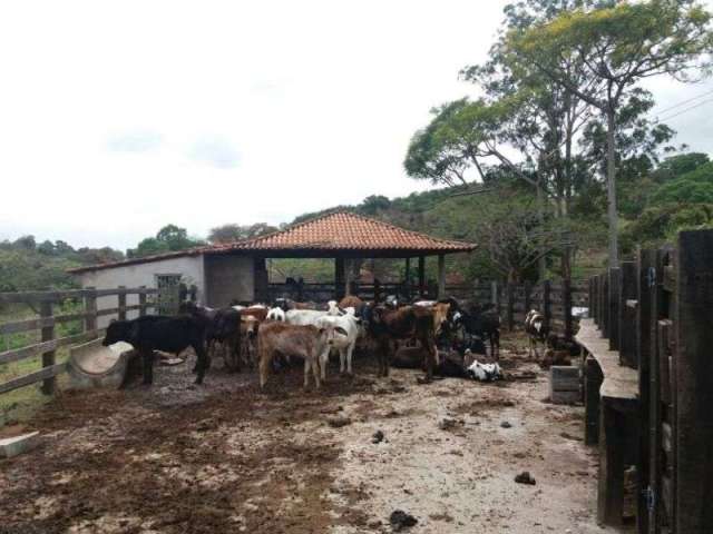 Fazenda com 3 salas à venda na Izaltino de Aguiar, Área Rural de Pará de Minas, Pará de Minas por R$ 1.500.000