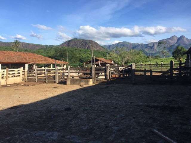 Fazenda com 1 sala à venda na Área Rural de Colatina, Colatina  por R$ 9.600.000