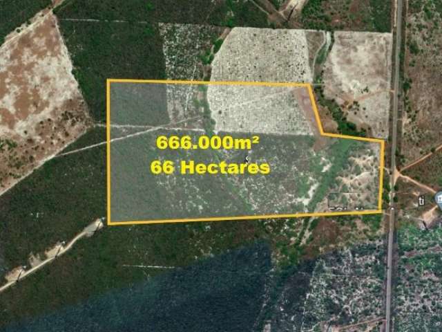 Terreno em Aracati com 66 hectares, são 264 metros nas margens da BR 304