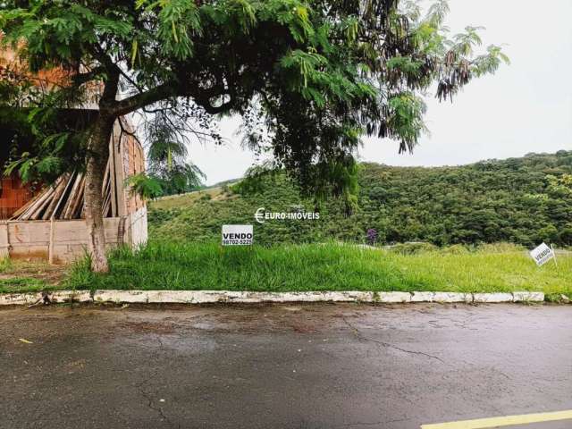 Terreno em condomínio fechado à venda na Rua Joaquim Honório Loures (N Gramado), Nova Gramado, Juiz de Fora, 420 m2 por R$ 270.000
