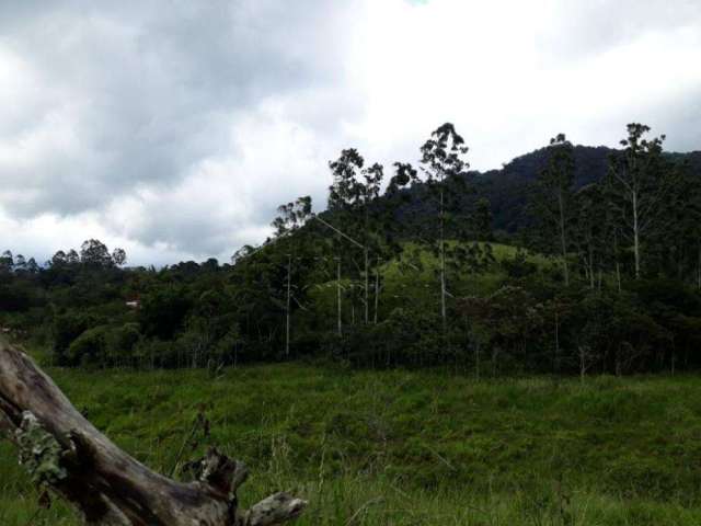 Terreno Padrão em Pindamonhangaba