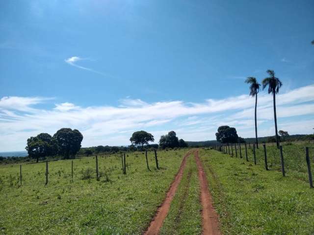 185 hectares. 27 km de Campo Grande.
