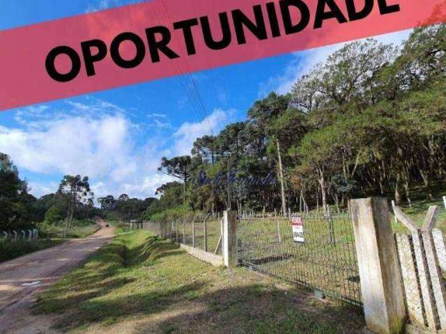 Chácara à venda, 44000 m² por R$ 450.000,00 - Zona Rural - Tijucas do Sul/PR