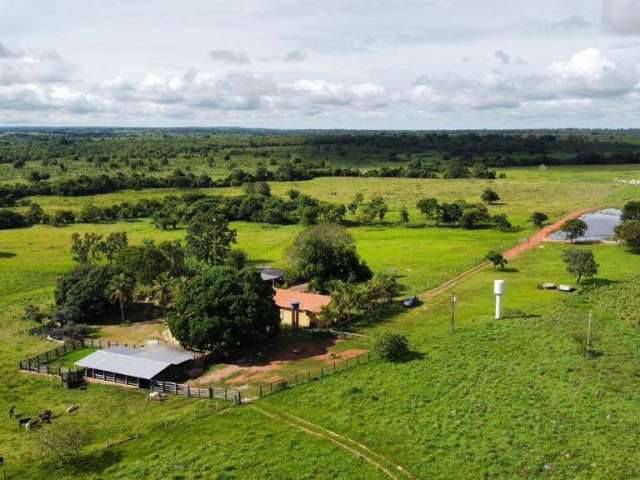 Fazenda de 45 Alqueires em Formoso do Araguaia-TO ! Oportunidade !
