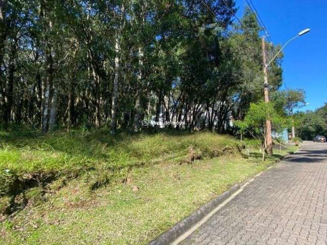 Terreno em condomínio fechado à venda na 01, 3, Parque Pinheiro Grosso, Canela por R$ 590.000