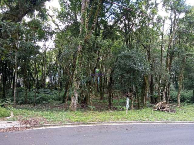 Terreno à venda na A, Floresta, Gramado por R$ 650.000