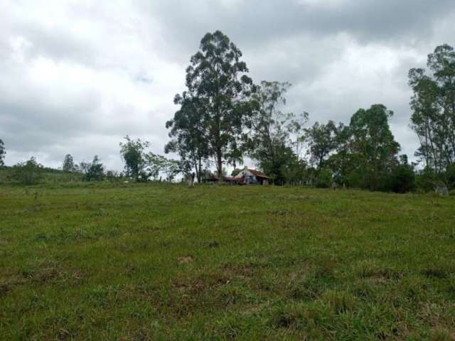 Sitio em Guaiba de 12 hectares, escriturado e registrado. Com ampla area verde o sitio conta com uma casa de 3 quartos, 75m² privativo, galpao, açude e arroio dentro da propriedade.&lt;BR&gt;Localizad