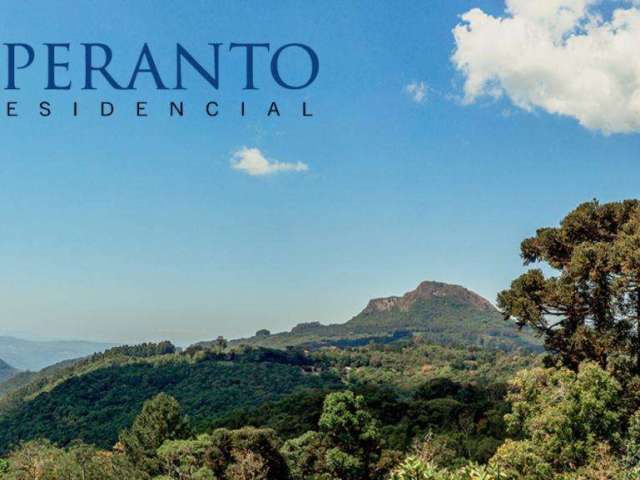 Terreno à venda no Bairro Várzea Grande com 373 m² de área privativa
