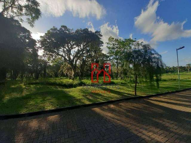 Terreno à venda, 3333 m² por R$ 1.640.000,00 - Ratones - Florianópolis/SC