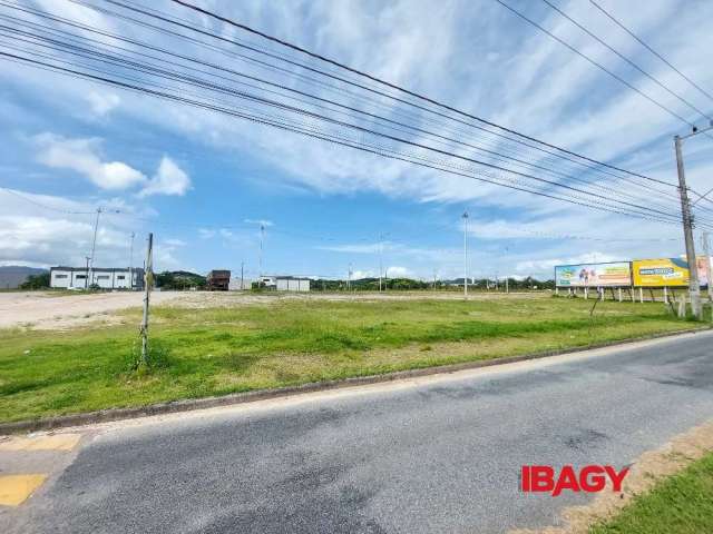 Terreno comercial para alugar na Rodovia SC-281, Sertão do Maruim, São José, 2428 m2 por R$ 18.000