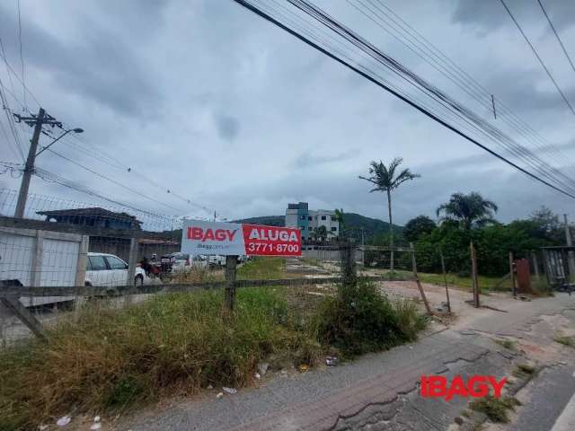Terreno comercial para alugar na Estrada Cristóvão Machado de Campos, 461, Vargem Grande, Florianópolis, 1500 m2 por R$ 12.000