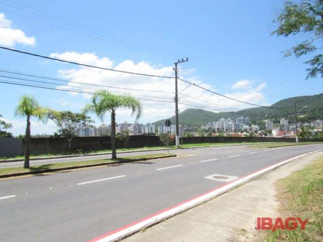Terreno comercial para alugar na Rua Vera Linhares de Andrade, 00, Córrego Grande, Florianópolis, 4700 m2 por R$ 18.000