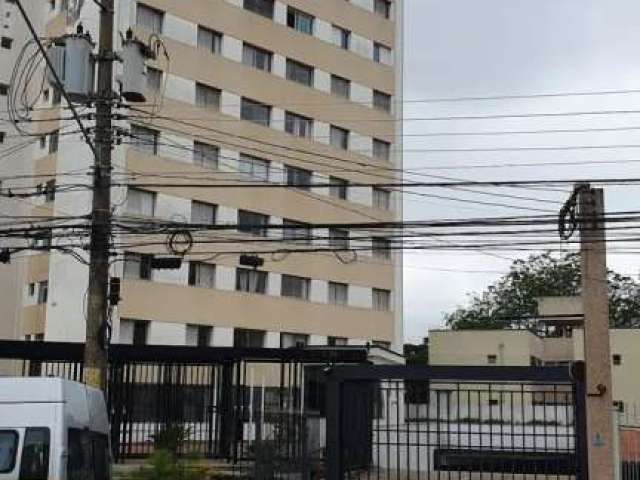 Apartamento em Alto de Pinheiros  -  São Paulo