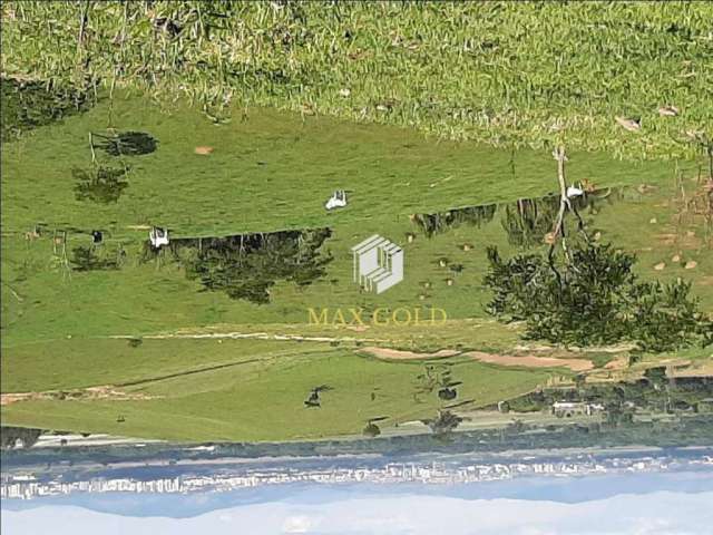 Terreno à venda, 20000 m² por R$ 330.000,00 - Chácara Flórida - Taubaté/SP