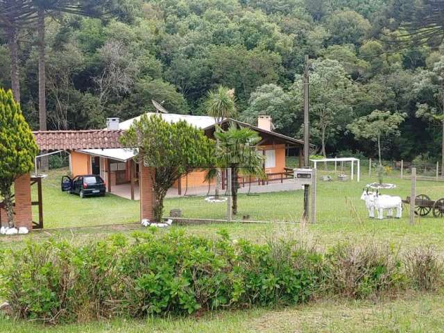 Chácara / sítio com 4 quartos à venda na Rota do Sol, 1, Vila Seca, Caxias do Sul por R$ 950.000