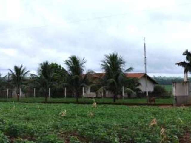 Fazendas, Zona Rural  em Terra Roxa/PR