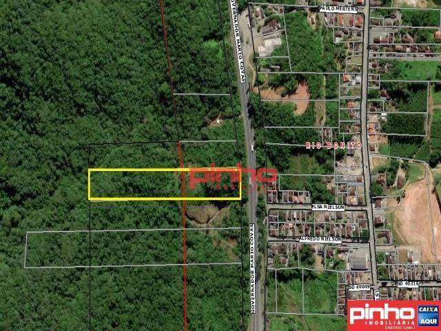 Terreno à venda, área total de 39.123,27m² por R$ 485.395,00 - Rio Bonito (Pirabeiraba) - Joinville/SC