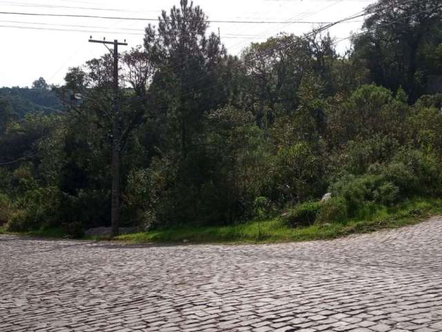 Terreno à venda na Rua Rosalimbo Antônio Guerra, Colina Sorriso, Caxias do Sul por R$ 610.000