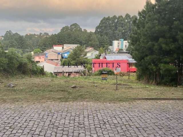 Terreno à venda na Rua Angelo Colognese, Forqueta, Caxias do Sul por R$ 185.000
