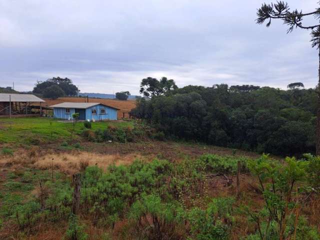 Chácara / sítio com 2 quartos à venda na Zona Rural, Caxias do Sul  por R$ 275.000