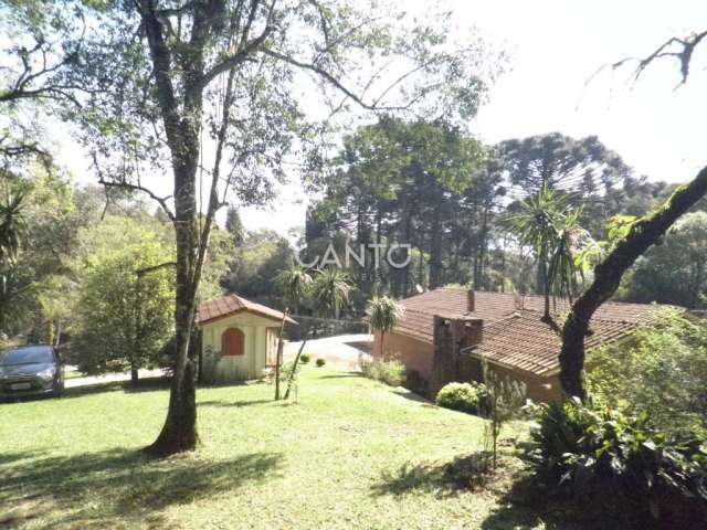 Fazenda com 3 salas à venda na Rua Francisco Buzato, 329, Zona Rural, Almirante Tamandaré, 110 m2 por R$ 1.800.000