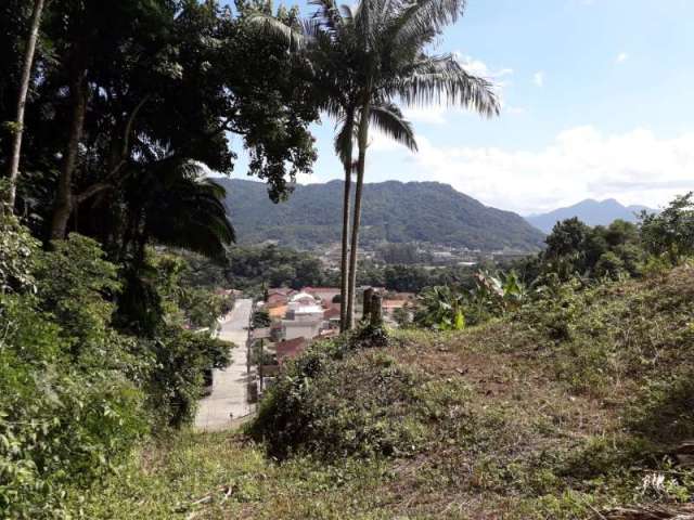Terreno à venda no Ilha da Figueira, Jaraguá do Sul  por R$ 490.000
